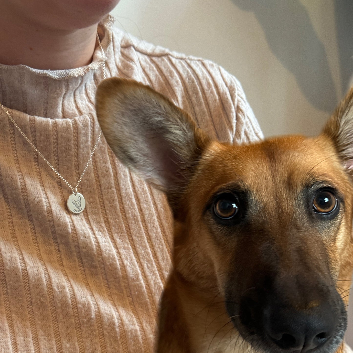 Collar personalizado con rostro de mascota